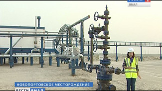 В этом году на Новопортовском нефтегазоконденсатном месторождении добыча «чёрного золота» превысит 2 миллиона