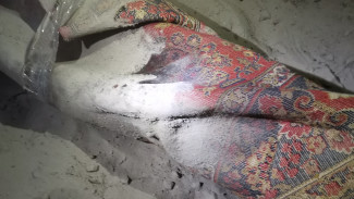 Ужасное убийство в Надыме: избил до смерти, завернул в ковер и закопал на дне подвала