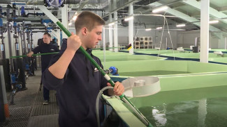 Ихтиологи с большой земли: Собский рыбоводный завод готовит новых специалистов