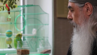 Монахи Валаамского монастыря научили волнистого попугайчика Гошу молиться