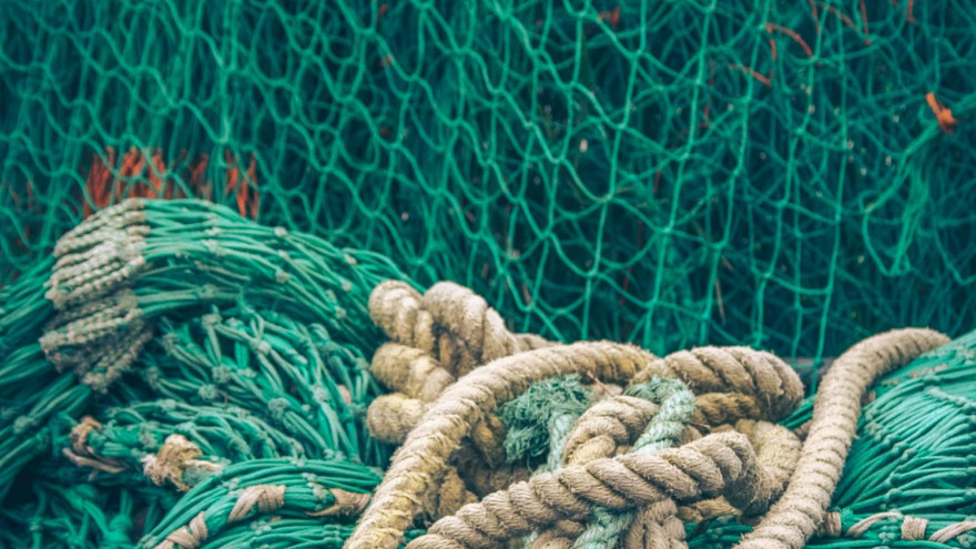 Владимир Путин поручил рассмотреть возможность введения вывозных пошлин на рыбу