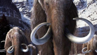 Ученые обнаружили на Ямале крупнейшее в российской Арктике местонахождение мамонтовой фауны