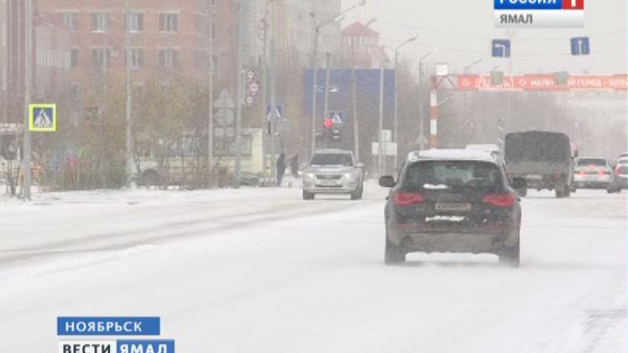 В Ноябрьске автоледи разъезжала по городу с поддельными правами