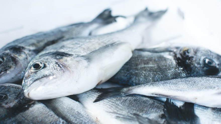 В России собираются субсидировать перевозку рыбы с Дальнего Востока по Севморпути