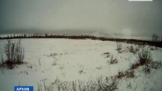14 января на Ямале - пасмурно и снежно