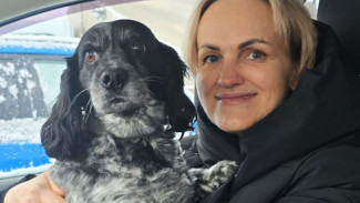 В Муравленко врачи спасли водителя и его собаку