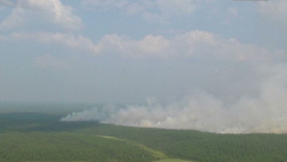 На Ямале действуют 5 лесных пожаров