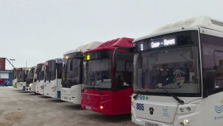 Автобусы с интеллектом: в Новом Уренгое появился умный общественный транспорт