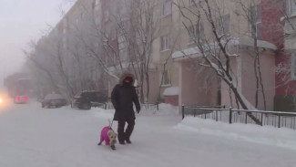 «Холод собачий»: как четвероногие спасаются от морозов