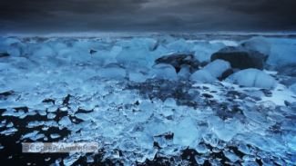 Живая Арктика: уникальное видео в проекте «Волшебные миры Сергея Анисимова»
