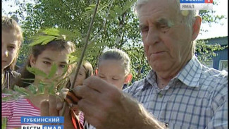 Помнить своих героев. Жители Губкинского высадили сразу 15 мемориальных деревьев