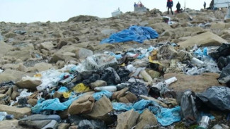 Генеральная уборка: сразу несколько уголков Ямала очистили от мусора