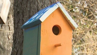 Итоги труда и досуга: в горсаду Салехарда появились новые дома для птиц