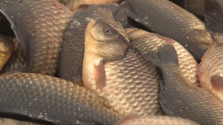 В Якутии стартовал сезон традиционной зимней рыбалки — мунха