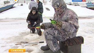 За щукой и ершом. На Ямале началась зимняя рыбалка