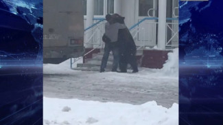 Видео: в Губкинском мужчина прямо на улице обнимался с настоящим медведем, а потом и вовсе оседлал его
