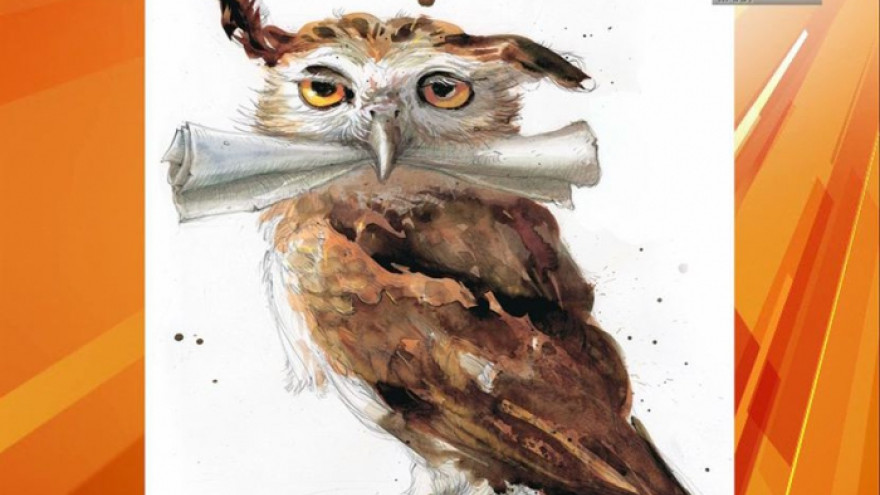 Гарри Поттер виноват? Из-за популярной книги исчезают совы