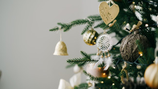 Ямальцам рассказали о правилах утилизации живой новогодней елки 