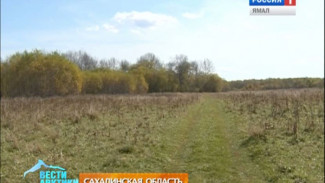 В Южно-Сахалинске набирает обороты проект «Дальневосточный гектар»