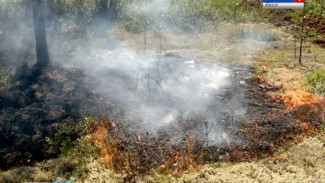 На Ямале активен всего один природный пожар