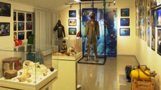 Глубокое погружение: выставка, посвященная морским глубинам, открылась в Кировске