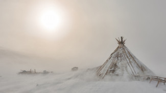 Ученые, исследующие погодные условия Арктики, просят о помощи коренных жителей Ямала