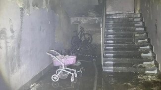 Детская шалость с огнём привела к пожару в Тарко-Сале