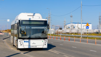 Салехардцы смогут поздравить отцов на экранах городских автобусов