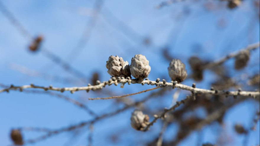 Прогноз погоды на Ямале на 18 апреля: похолодание до -28 и гололедица