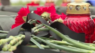 Боль и горечь утраты близких: в День памяти и скорби на Ямале прошли памятные акции