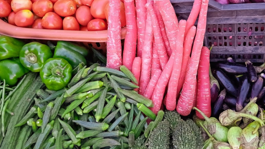 В Ноябрьске построят тепличный комплекс мощностью более 24 тонн овощей, ягод и зелени в год