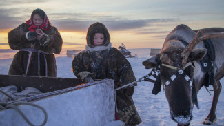 Ученые назвали новые сроки заселения Арктики человеком