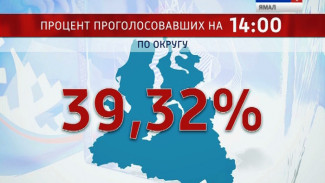 К 2 часам дня на Ямале проголосовало более 39 процентов избирателей. В лидерах - Красноселькупский район