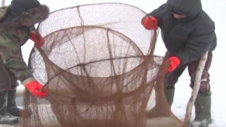 Не улов, а лишь возможность прокормиться: с какими проблемами столкнулись рыбаки Шурышкарского района
