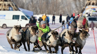 День оленевода в Новом Уренгое перенесли из-за крепких морозов