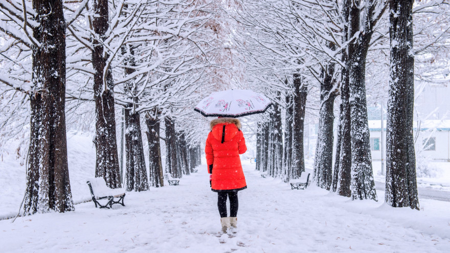 Пасмурно и снежно: синоптики рассказали, какой будет погода в Салехарде