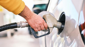 В правительстве отметили стабилизацию цен на топливо в стране 