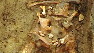 В Енисейске археологи обнаружили захоронения 17 века
