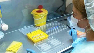 В Тюменском кардиоцентре открылась ДНК лаборатория: как исследование капли крови может спасать жизни