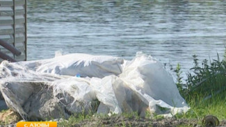 В селе Азовы очистили берега от мусора