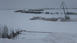 Времена – январь: кто помнит тьму и холода, тому тепло и свет вкуснее