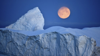 Море Росса в Антарктике станет крупнейшим в мире заповедником