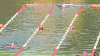 В Кургане прошли состязания по плаванию в холодной воде: как это было