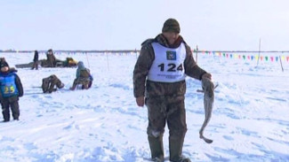 Щуки, ерши и другая живность, принесшая призы: Шурышкарский район провел массовую рыбалку