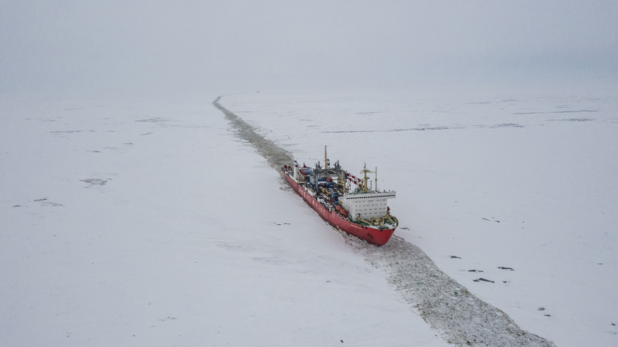 Все идет по плану: санкции против «Атомфлота» не затронут график строительства ледоколов