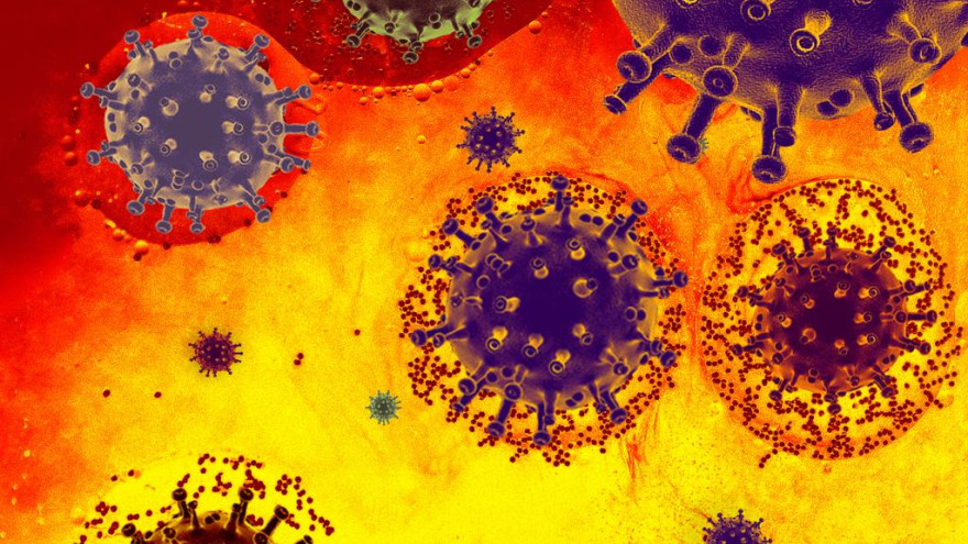 В ЯНАО зафиксировано 82 случая заражения новой коронавирусной инфекцией