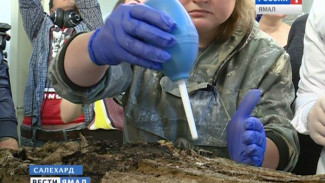 На Ямале археологи вскрыли берестяной кокон с мумией ребенка