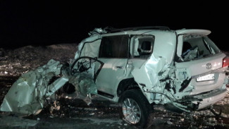 На Ямале два человека погибли в ДТП с грузовиком и иномаркой