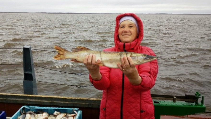 Большие надежды: Аксарковский рыбозавод официально приступил к путине-2018