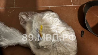 До 20 лет тюрьмы грозит задержанному в Ноябрьске наркокурьеру